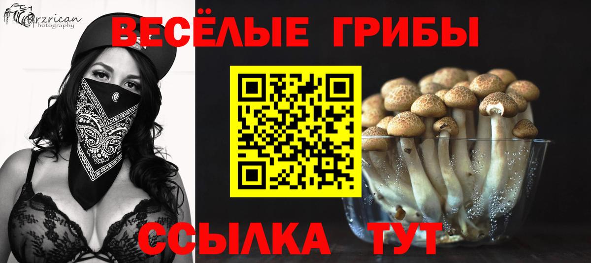 Галлюциногенные грибы прущие грибы Бутурлиновка